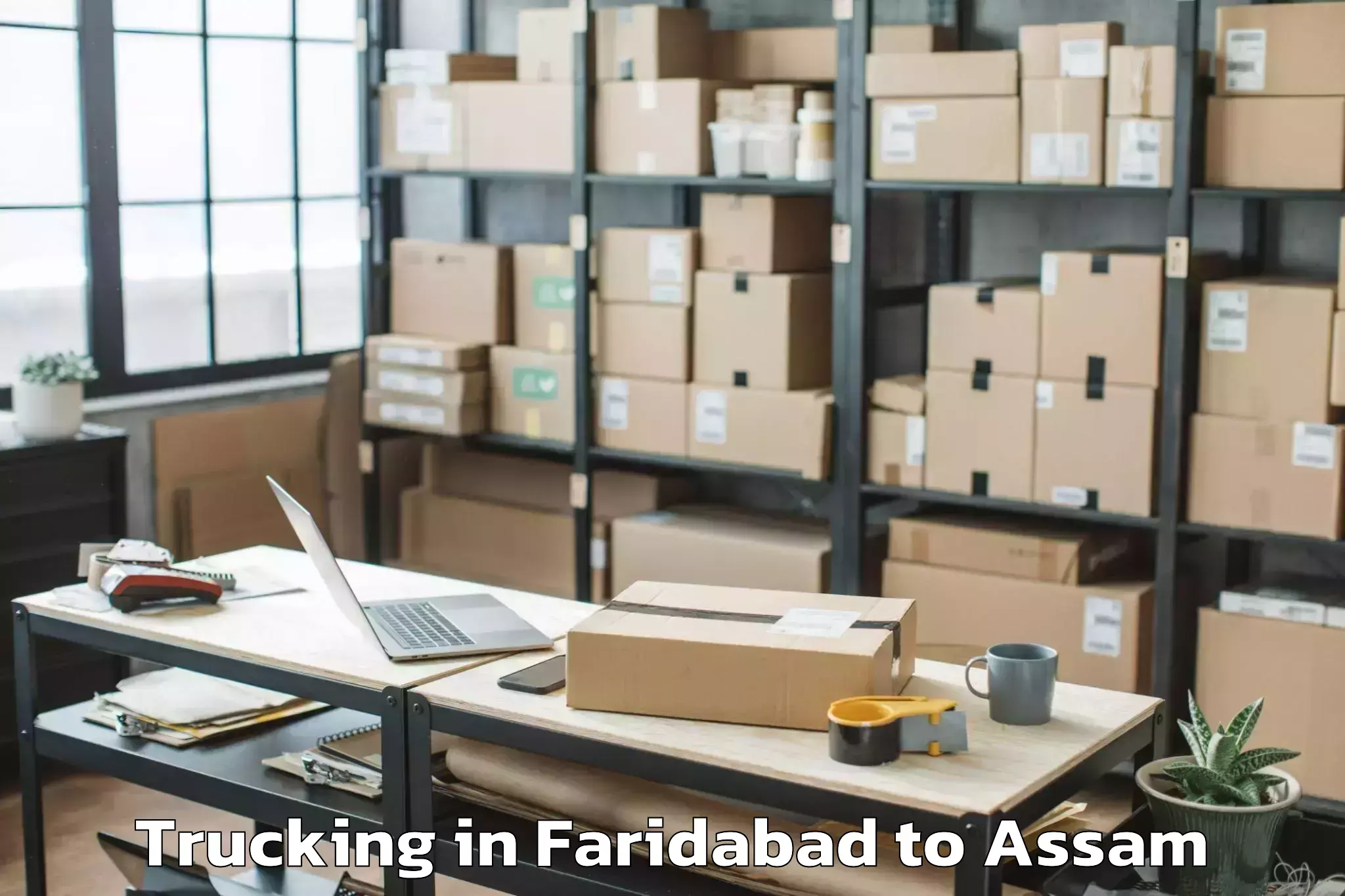 Leading Faridabad to Kaliabor Trucking Provider